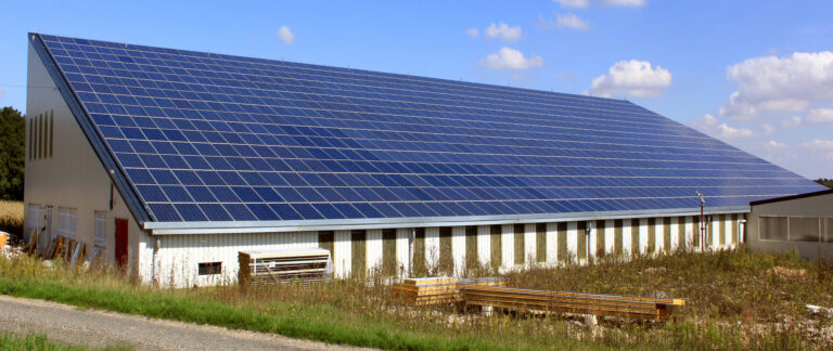 Greenpeace, ITALIA SOLARE, Legambiente e WWF al governo: ottimizzare le sinergie tra fotovoltaico e agricoltura