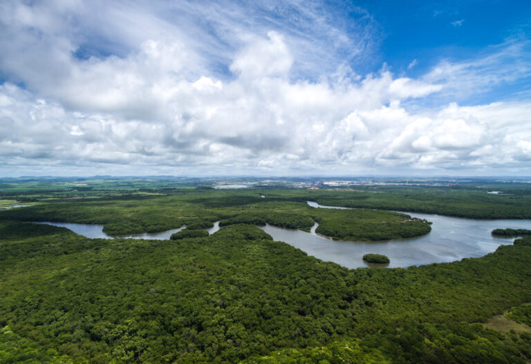 Bacino amazzonico, Intelligenza Artificiale per uno sviluppo più sostenibile dell’energia