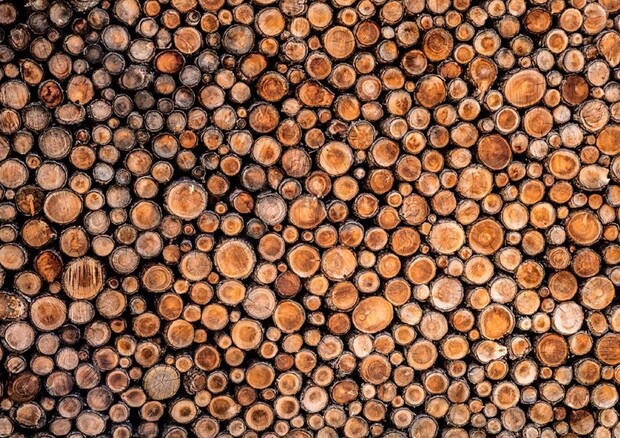 Economia circolare: cresce riciclo legno, 2 mln tonnellate nel 2021