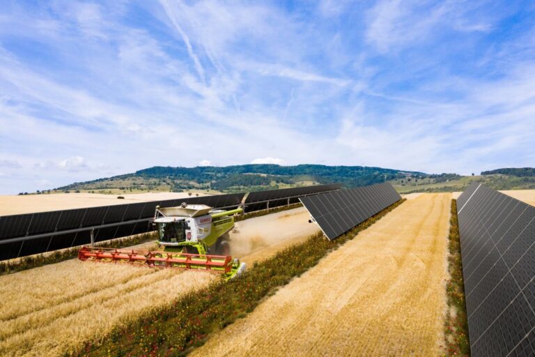 BayWa r.e., parchi solari nel sud della Spagna per alimentare le attività di VELUX