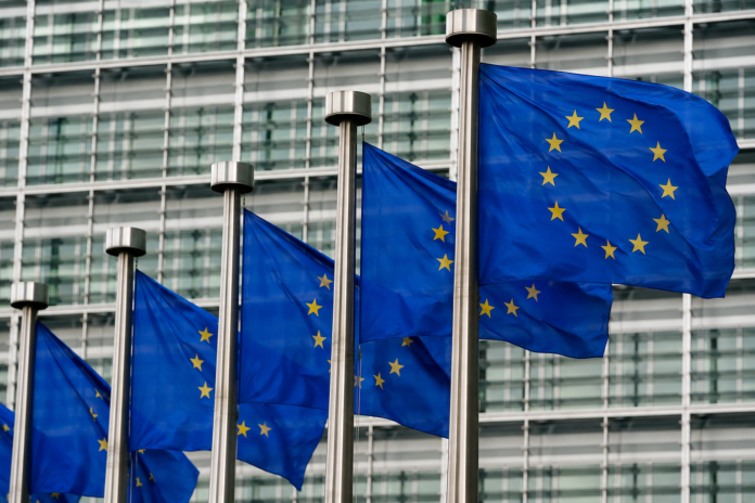 Bandiere Unione Europea